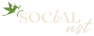 Socialnst logo
